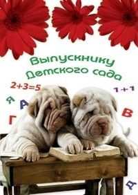 Папка адресная "Выпускнику детского сада" 5785