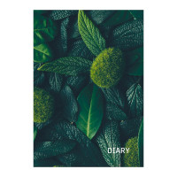 Ежедневник полудат. А5 192л Listoff "In green" тв.обл., 7БЦ, рисунок ЕЖ23519208