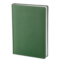 Ежедневник А5 2024 Альт "Leader" зеленый, тв. обл., иск. кожа 3-126/02