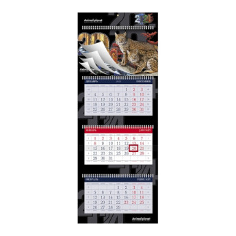 Календарь настен. кварт. 2024г "В мире животных" 3бл., 4гр., бегун. 3Кв4гр2ц_11866 Hatber